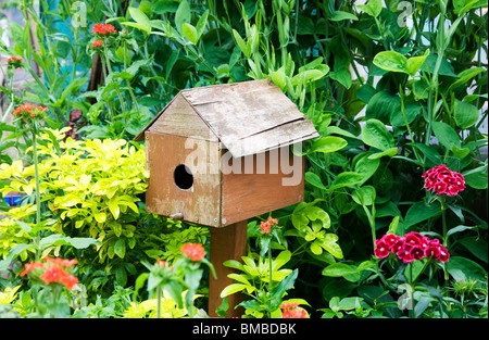 Wooden nest box in the TWIGS gardens in Swindon, Wiltshire, England, UK Stock Photo