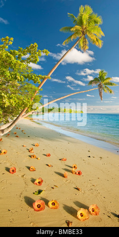 Tropical beach, Huahine, French Polynesia Stock Photo