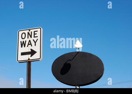 One Way street sign and business sign with lamp against blue sky Stock Photo