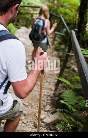 Hiking through tropical forest on the Mt Kinabalu summit trail. Kinabalu National Park, Sabah, Borneo, Malaysia. Stock Photo