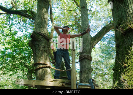 Archery Club, archer shooting from a tree platform at targets. Surrey England UK 2010 2010s HOMER SYKES Stock Photo