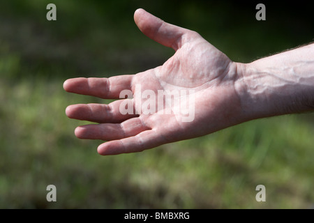 man holding out hand to the sunlight in a garden with grass in the background Stock Photo