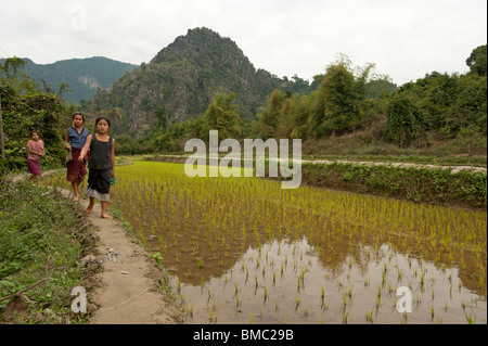 Young Lao village children on the edge of a paddy field in the mountains of Muang Ngoi Laos Stock Photo