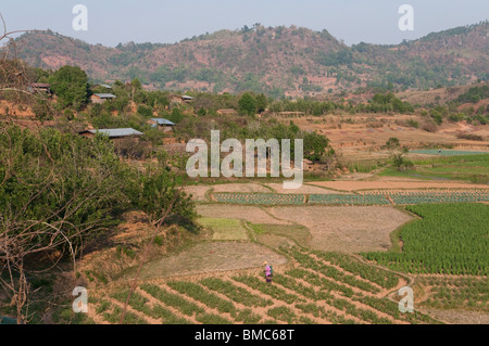 Mynamar. Burma. Shan State. Kalaw township Stock Photo