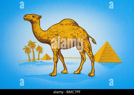 camel cigarette logo hidden Anyone else collect the matchbooks of these characters when they were 10-15? Well played Camel, you successfully convinced us that smoking cigarettes was cool by your cartoonish characters. No wonder you were camel cigarettes logo hidden images