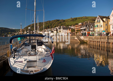 UK, England, Devon, Dartmouth, South Embankment, leisure boats moored at main pier Stock Photo