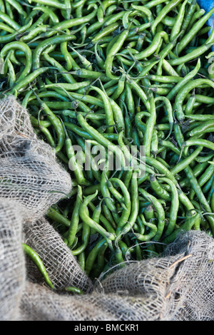 Burlap Sack of Indian Green Chilis at Market in Bangalore, Karnataka, India Stock Photo