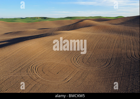 Plowed Fileds, Palouse Region, Palouse, Whitman County, Washington State, USA Stock Photo