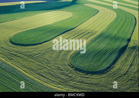 Fields, Palouse Region, Palouse, Whitman County, Washington State, USA Stock Photo