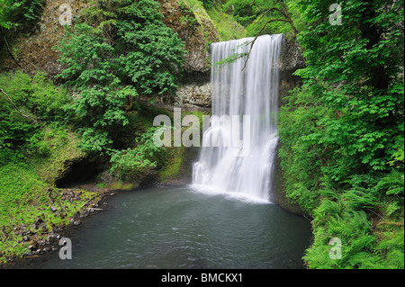 Lower South Falls, Silver Falls State Park, Marion County, Oregon, USA Stock Photo