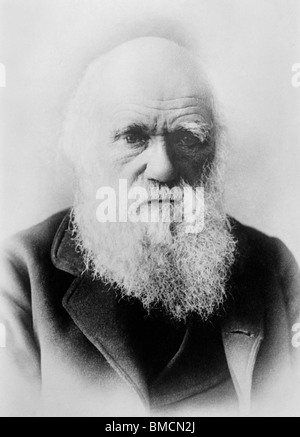 Vintage portrait photo circa 1870s of Charles Darwin (1809 - 1882) - the English naturalist famous for his theory of evolution. Stock Photo