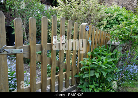 Wooden fence with forget-me-nots (Myosotis) Stock Photo