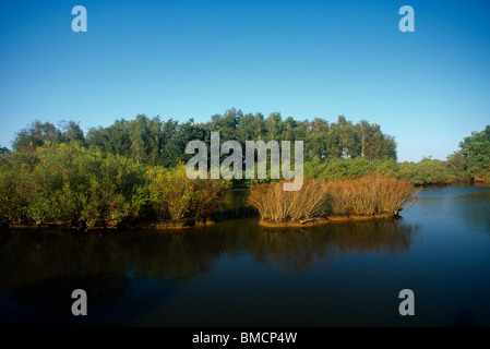 Le Teich France Parc Ornithologique Du Teich Nature Reserve People Bird