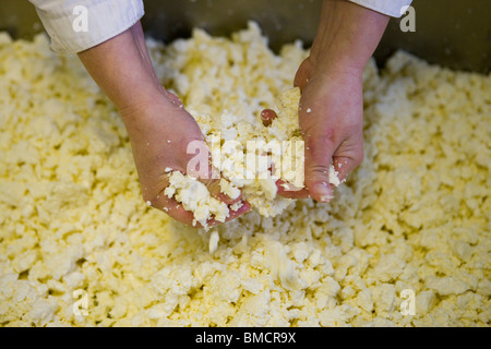 Cheese maker making traditional Single and Double Gloucester cheeses. Standish Park Farm. Oxlynch. Gloucestershire. United Kingdom. Stock Photo