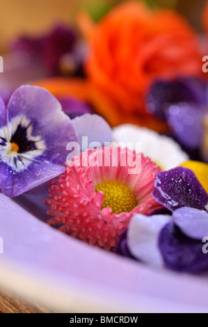 Common daisy (Bellis perennis) and horned pansies (Viola cornuta), cut flowers on a plate Stock Photo
