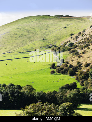 peak district landscape with fields and dry stone walls. The valleys of the river manifold and river dove, dovedale near ilam in Stock Photo