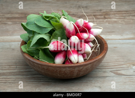 A Bunch Of Fresh Homegrown Radish In A Wooden Bowl On A Wooden Kitchen Table Stock Photo