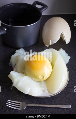 Hard Boiled Ostrich Egg Stock Photo