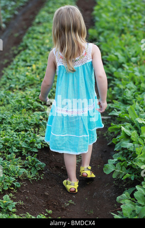 Young girl in dress walking through crop field Stock Photo