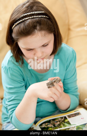 Young girl holding a poplar hawk moth and researching moths with a book on her lap in her living room Stock Photo