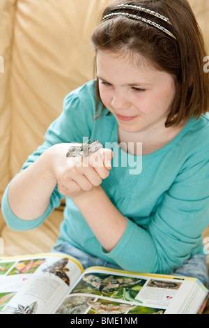 Young girl holding a poplar hawk moth and researching moths with a book on her lap in her living room Stock Photo