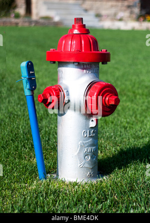 A silver fire hydrant with red caps in a lawn. Wichita, Kansas, USA. Stock Photo