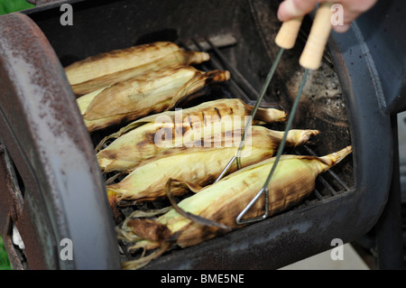 Roasting ears of corn are grilled during a cookout. Stock Photo