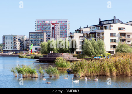 Reeds in river near city Stock Photo