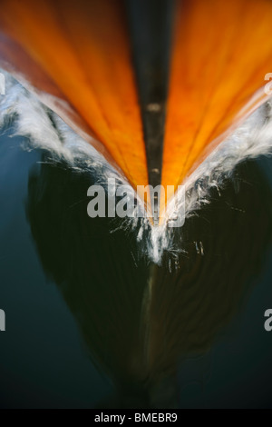 Reflection of prow cutting through water Stock Photo
