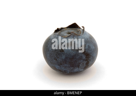 single blueberry isolated on a white background Stock Photo