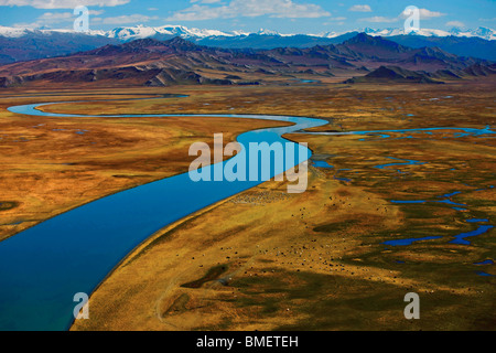 Swan Lake, Bayanbulak Grasslands, Bayingolin Mongol Autonomous Prefecture, Xinjiang Uyghur Autonomous Region, China Stock Photo