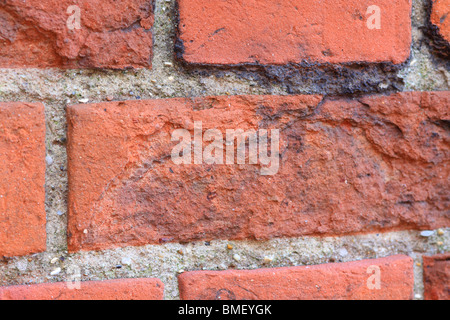 Red Brick wall in close up Stock Photo