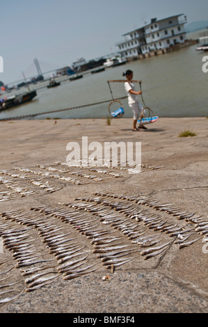 Fish being laid out on the river bank to dry under the sun, Jiujiang, Jiangxi Province, China Stock Photo