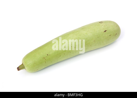 Dudhi or Bottle gourd isolated on a white studio background. Stock Photo