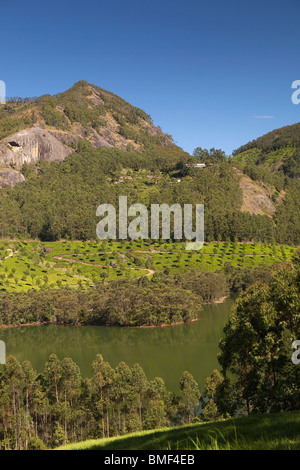 India, Kerala, Munnar, attractive agricultural landscape beside Malupetty Lake Stock Photo