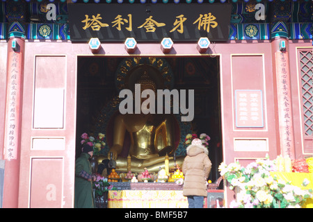 Gilded statue of Shakyamuni in the Sarira Pagoda, Temple Of Divine Light, Badachu Park, Beijing, China Stock Photo