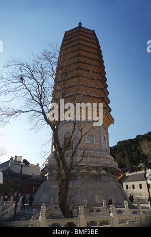 Sarira Pagoda, Temple Of Divine Light, Badachu Park, Beijing, China Stock Photo