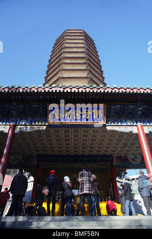 Sarira Pagoda, Temple Of Divine Light, Badachu Park, Beijing, China Stock Photo