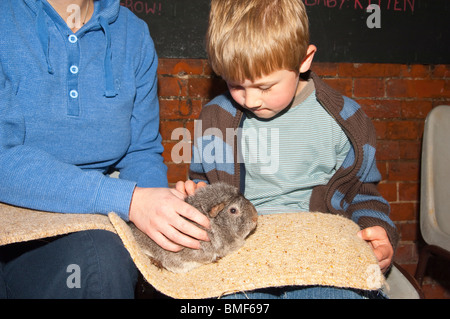 Mother and son with a Guinea pig at Easton Farm Park in Easton , Woodbridge , Suffolk , England , Great Britain , Uk Mother and son with a Guinea pig at Easton Farm Park in Easton , Woodbridge , Suffolk , England , Great Britain , Uk