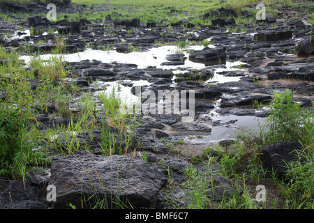 View of the wetland, Mudanjiang River, Mudanjiang, Heilongjiang Province, China Stock Photo