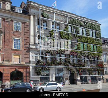 The green facade of the European Environment agency in Copenhagen is flowering fourteen days after the inauguration. Stock Photo