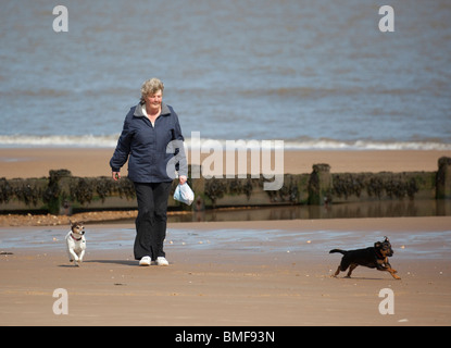 woman walking  and dog running on beach Stock Photo