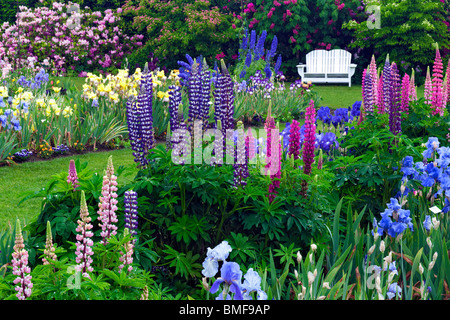 Peak spring bloom at Schreiner's Iris Display Garden in Oregon's Marion County. Stock Photo