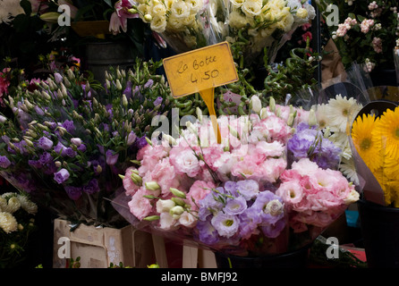 FLOWER MARKET, PARIS, FRANCE Stock Photo