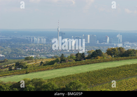 Overlooking the Danube Tower, Danube City of vineyards around Vienna Stock Photo