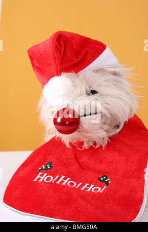 A young puppy dog as rudolph the red nosed reindeer wearing a santa ...