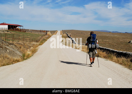 Pilgrim walking the Silver Way or Via de la Plata to Santiago in Caceres province. Extremadura region, Spain Stock Photo