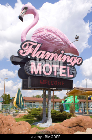 pink flamingo motel