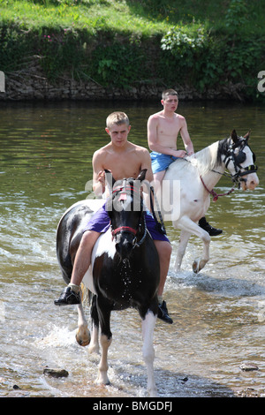 Gypsy boys swimming horses at the Appleby Horse Fair, Appleby-In ...