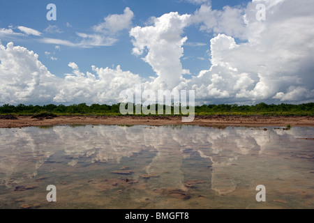 Cloud reflections in the landscape - Los Novios Ranch - near Cotulla, Texas USA Stock Photo